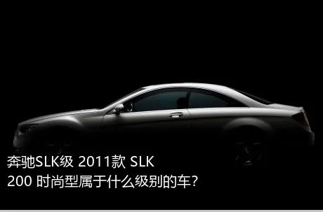 奔驰SLK级 2011款 SLK 200 时尚型属于什么级别的车？