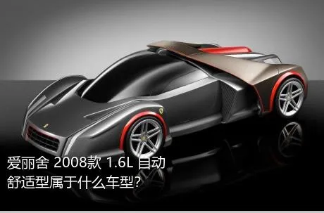 爱丽舍 2008款 1.6L 自动舒适型属于什么车型？