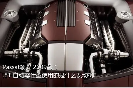 Passat领驭 2009款 1.8T 自动尊仕型使用的是什么发动机？