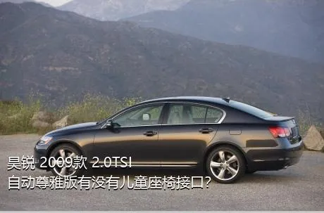 昊锐 2009款 2.0TSI 自动尊雅版有没有儿童座椅接口？