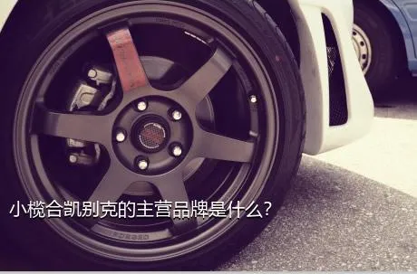 小榄合凯别克的主营品牌是什么？