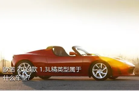 欧诺 2014款 1.3L精英型属于什么车型？