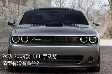 欢动 2009款 1.8L 手动舒适型有没有备胎？