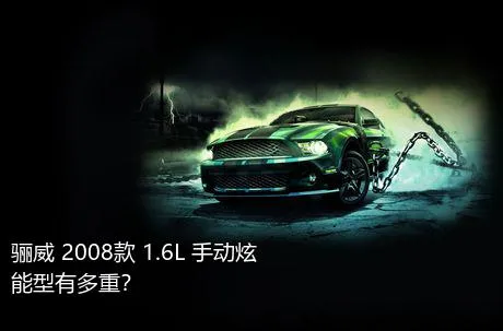 骊威 2008款 1.6L 手动炫能型有多重？