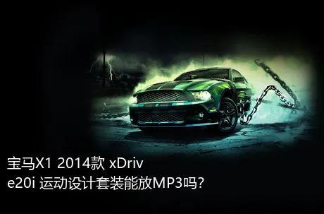 宝马X1 2014款 xDrive20i 运动设计套装能放MP3吗？