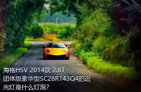 海格H5V 2014款 2.8T团体版豪华型SC28R143Q4的近光灯是什么灯泡？