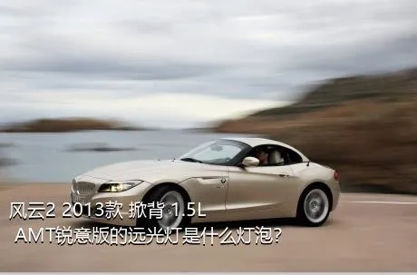 风云2 2013款 掀背 1.5L AMT锐意版的远光灯是什么灯泡？