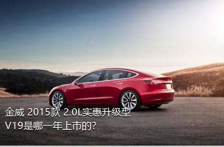 金威 2015款 2.0L实惠升级型V19是哪一年上市的？