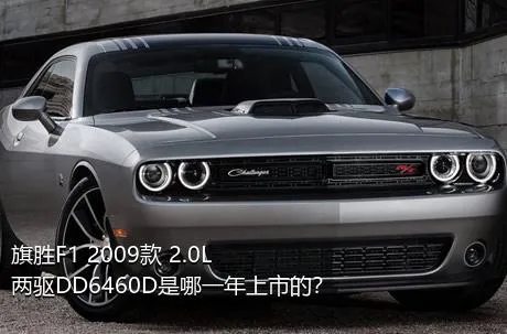 旗胜F1 2009款 2.0L 两驱DD6460D是哪一年上市的？