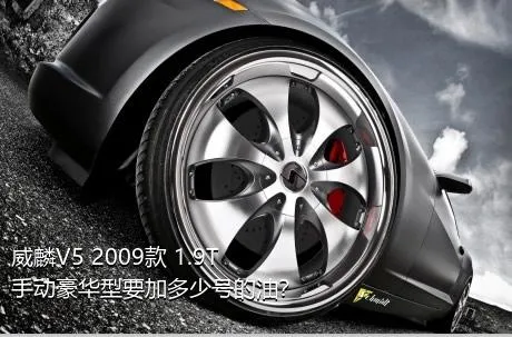 威麟V5 2009款 1.9T 手动豪华型要加多少号的油？