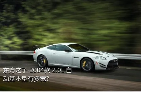 东方之子 2004款 2.0L 自动基本型有多宽？