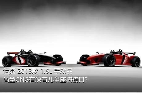 世嘉 2013款 1.6L 手动品尚型CNG有没有儿童座椅接口？