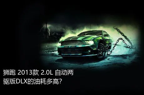 狮跑 2013款 2.0L 自动两驱版DLX的油耗多高？