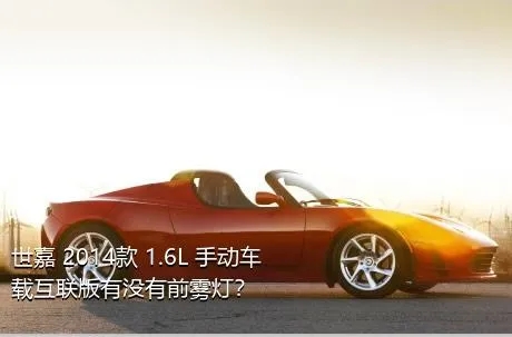 世嘉 2014款 1.6L 手动车载互联版有没有前雾灯？