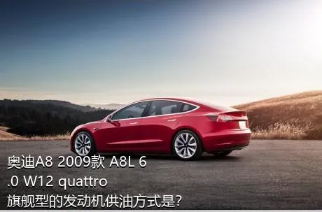 奥迪A8 2009款 A8L 6.0 W12 quattro 旗舰型的发动机供油方式是？