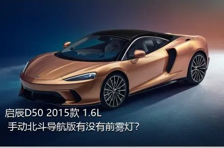 启辰D50 2015款 1.6L 手动北斗导航版有没有前雾灯？