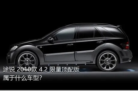 途锐 2010款 4.2 限量顶配版属于什么车型？