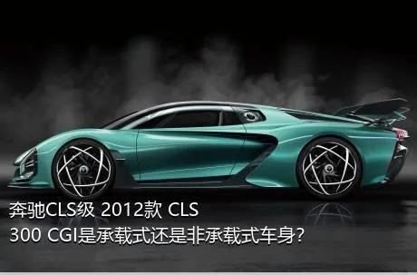 奔驰CLS级 2012款 CLS 300 CGI是承载式还是非承载式车身？