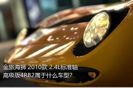 金旅海狮 2010款 2.4L标准轴高级版4RB2属于什么车型？