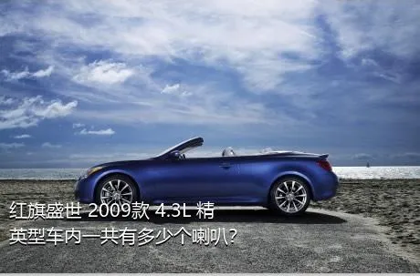 红旗盛世 2009款 4.3L 精英型车内一共有多少个喇叭？