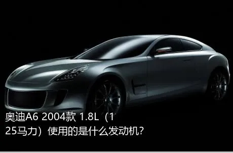 奥迪A6 2004款 1.8L（125马力）使用的是什么发动机？