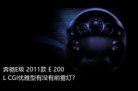 奔驰E级 2011款 E 200 L CGI优雅型有没有前雾灯？