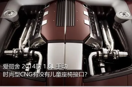 爱丽舍 2014款 1.6L 手动时尚型CNG有没有儿童座椅接口？