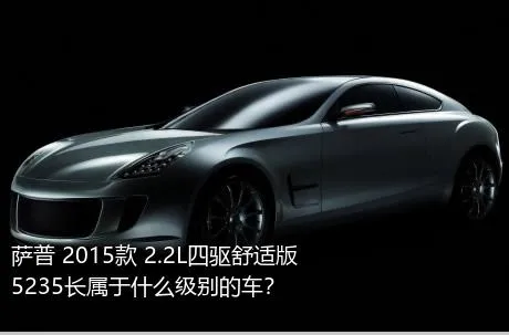 萨普 2015款 2.2L四驱舒适版5235长属于什么级别的车？