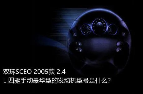 双环SCEO 2005款 2.4L 四驱手动豪华型的发动机型号是什么？