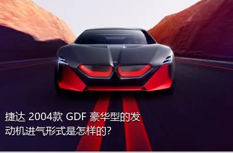 捷达 2004款 GDF 豪华型的发动机进气形式是怎样的？