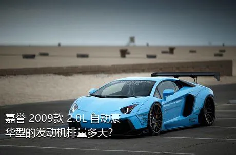 嘉誉 2009款 2.0L 自动豪华型的发动机排量多大？