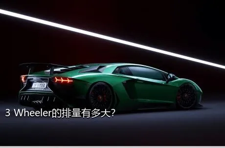 3 Wheeler的排量有多大？