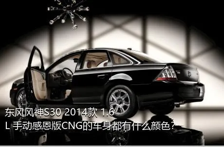 东风风神S30 2014款 1.6L 手动感恩版CNG的车身都有什么颜色？