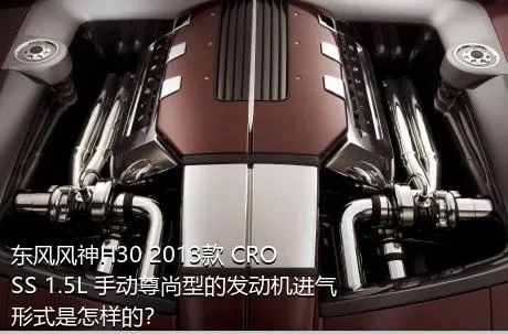 东风风神H30 2013款 CROSS 1.5L 手动尊尚型的发动机进气形式是怎样的？