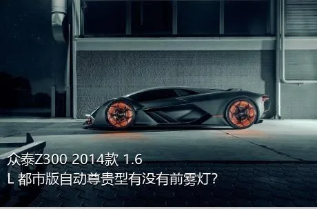 众泰Z300 2014款 1.6L 都市版自动尊贵型有没有前雾灯？