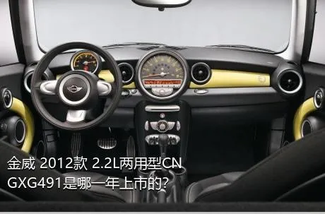 金威 2012款 2.2L两用型CNGXG491是哪一年上市的？