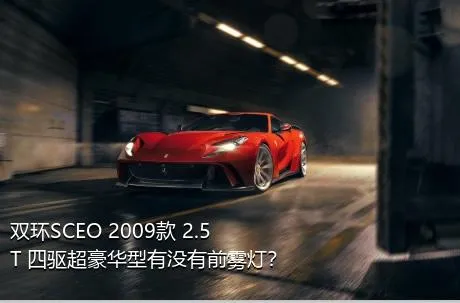 双环SCEO 2009款 2.5T 四驱超豪华型有没有前雾灯？