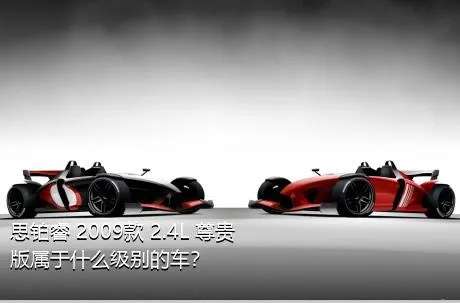 思铂睿 2009款 2.4L 尊贵版属于什么级别的车？