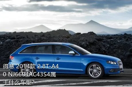 得意 2014款 2.8T-A40 NJ6604AC43S4属于什么车型？