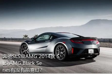 奔驰SLS级AMG 2014款 SLS AMG Black Series有没有前雾灯？