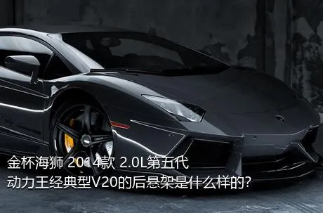 金杯海狮 2014款 2.0L第五代动力王经典型V20的后悬架是什么样的？