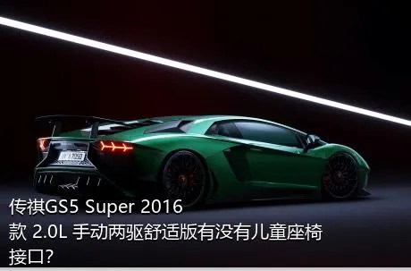 传祺GS5 Super 2016款 2.0L 手动两驱舒适版有没有儿童座椅接口？