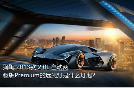 狮跑 2013款 2.0L 自动两驱版Premium的远光灯是什么灯泡？