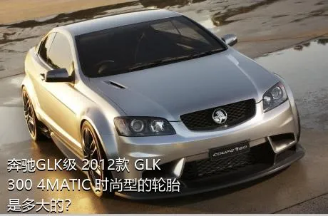 奔驰GLK级 2012款 GLK 300 4MATIC 时尚型的轮胎是多大的？