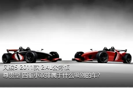 风骏5 2011款 2.4L公务版 尊贵型 四驱小双排属于什么级别的车？