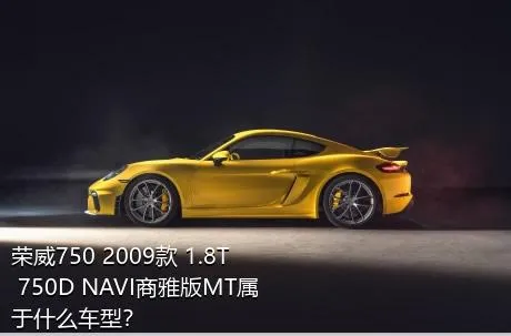 荣威750 2009款 1.8T 750D NAVI商雅版MT属于什么车型？