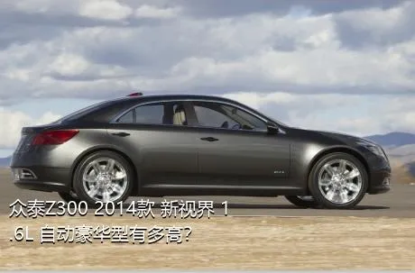 众泰Z300 2014款 新视界 1.6L 自动豪华型有多高？