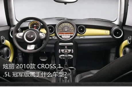 炫丽 2010款 CROSS 1.5L 冠军版属于什么车型？