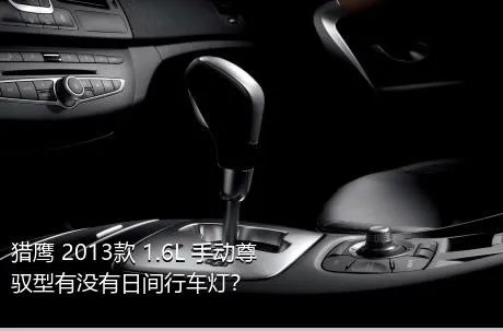 猎鹰 2013款 1.6L 手动尊驭型有没有日间行车灯？