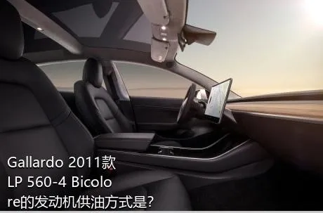 Gallardo 2011款 LP 560-4 Bicolore的发动机供油方式是？